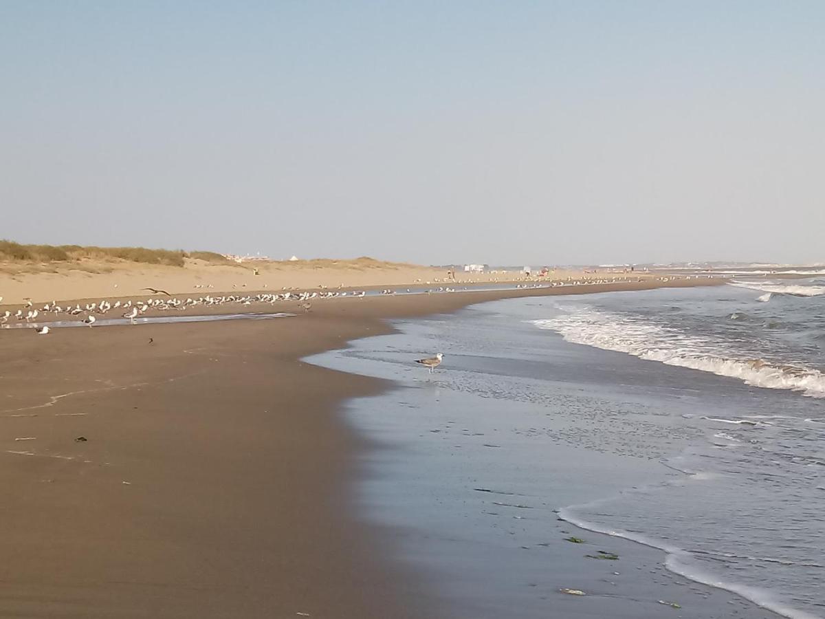 Los Pelicanos Ayamonte Extérieur photo